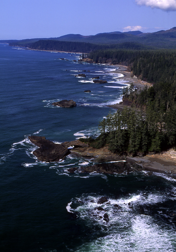 The West Coast Trail on Vancouver Island, British Columbia. Image courtesy Tourism British Columbia.