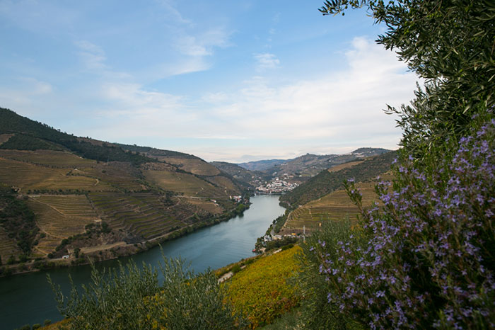 Some of the views you can get on a river cruise are simply magical. Photo courtesy of Justin Harrington.