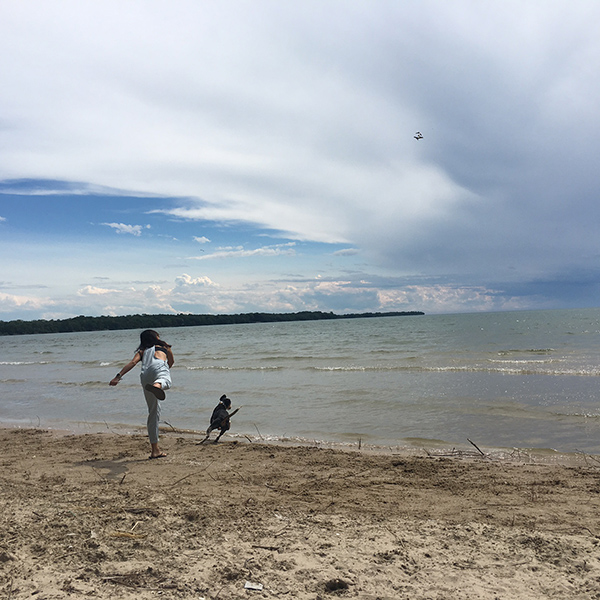 One of the dog-friendly beaches in Sandbanks Provincial Park
