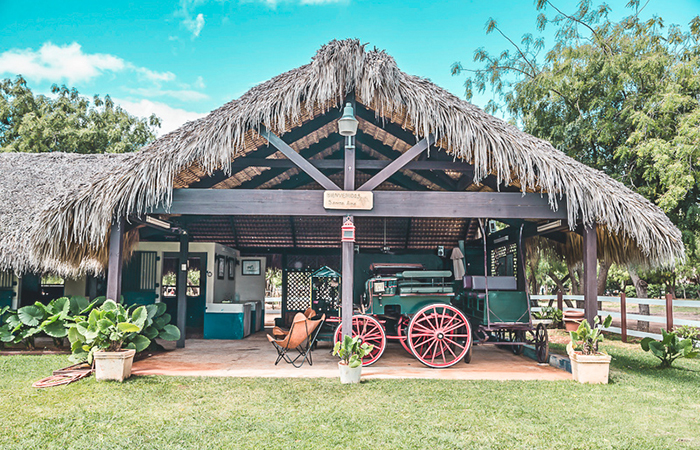 Saddle up at the equestrian center at Casa de Campo.