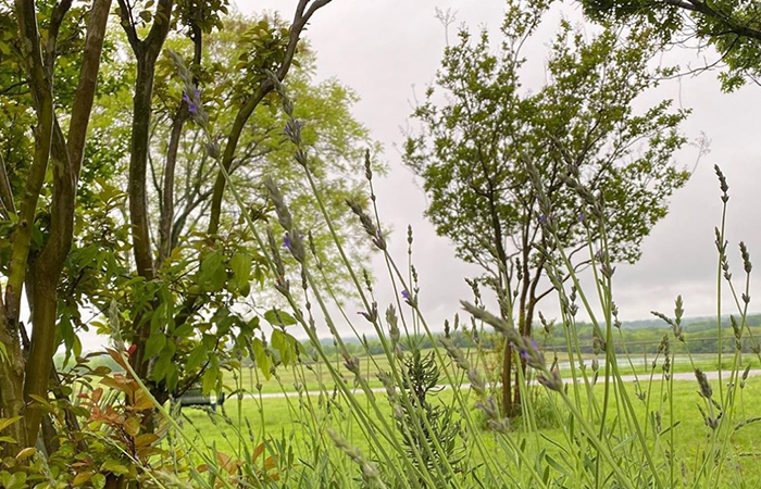 siddhayantan spiritual retreats