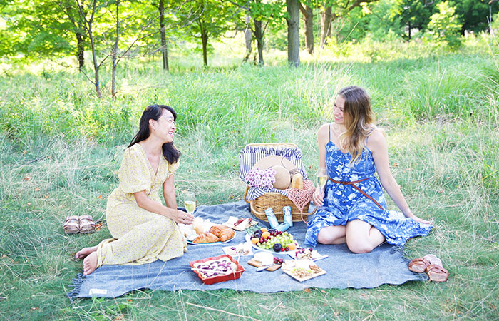park picnic: How to plan a themed picnic
